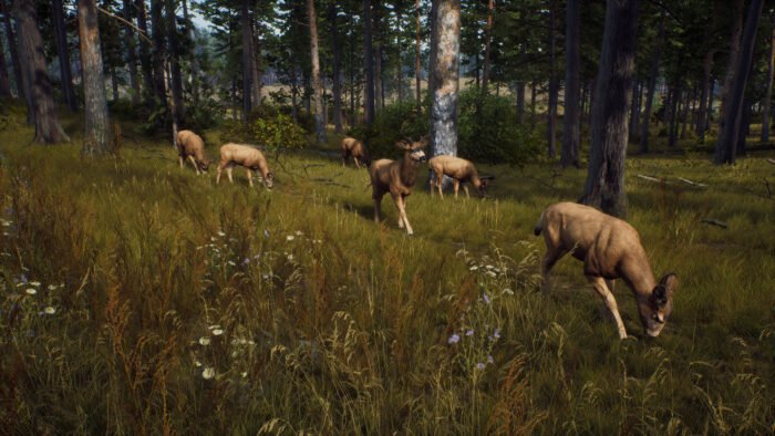 Way of the Hunter (PC) - Steam Key - EUROPE - Image 2