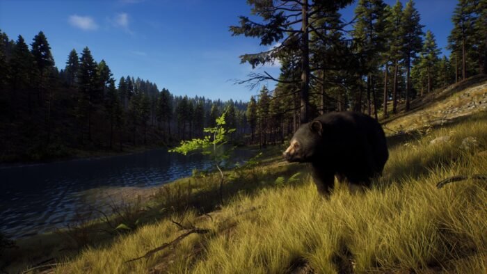 Way of the Hunter | Elite Edition (PC) - Steam Key - EUROPE - Image 5