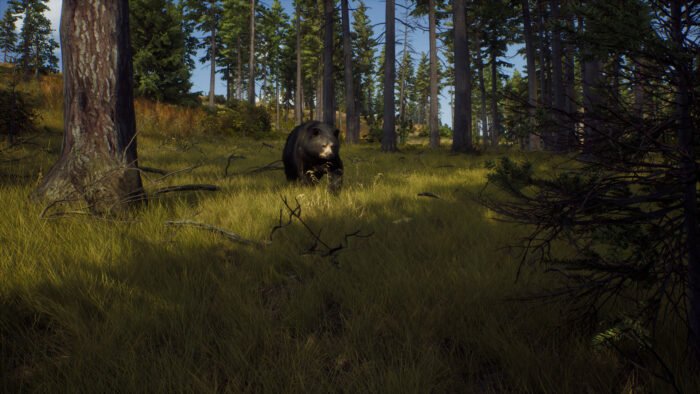 Way of the Hunter | Elite Edition (PC) - Steam Key - EUROPE - Image 8