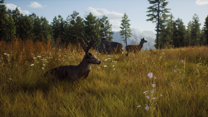 Way of the Hunter | Elite Edition (PC) - Steam Key - EUROPE - Image 12