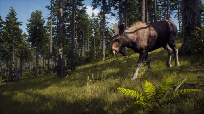 Way of the Hunter (PC) - Steam Key - EUROPE - Image 10