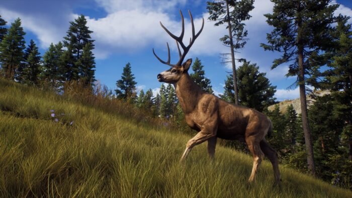 Way of the Hunter (PC) - Steam Key - EUROPE - Image 6
